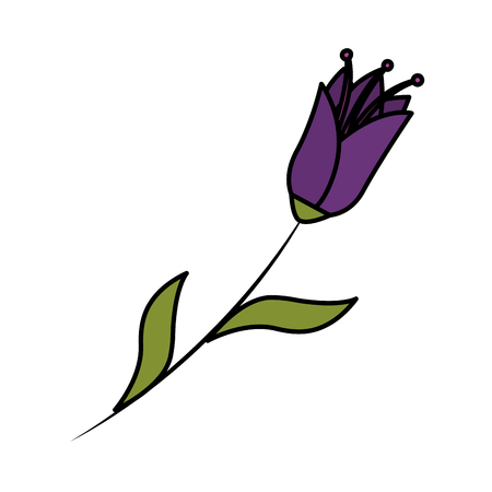 beautiful flower decorative icon vector illustration designのイラスト素材