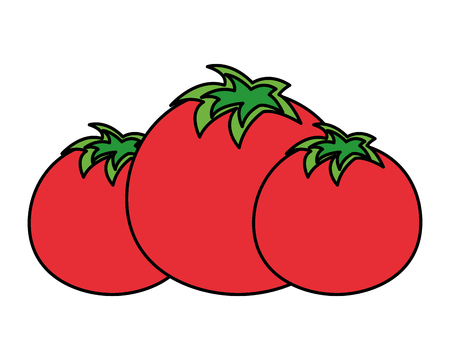 tomatoes vegetable fresh on white background vector illustrationのイラスト素材