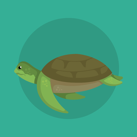 turtle wild sea animal with shell over blue background vector illustrationのイラスト素材