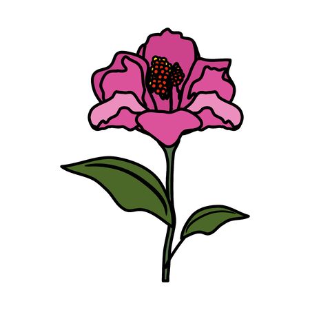beautiful flower decorative icon vector illustration designのイラスト素材