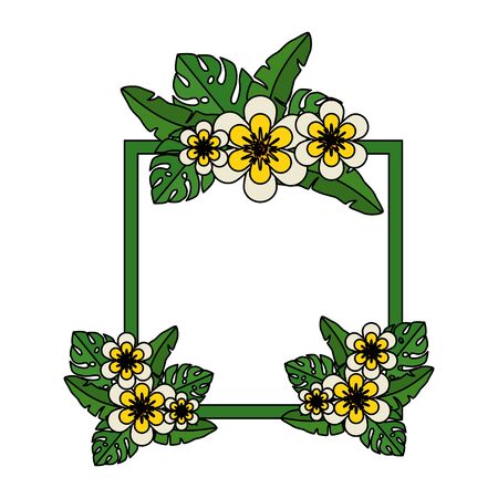 beautiful flowers and leafs square frame vector illustration designのイラスト素材