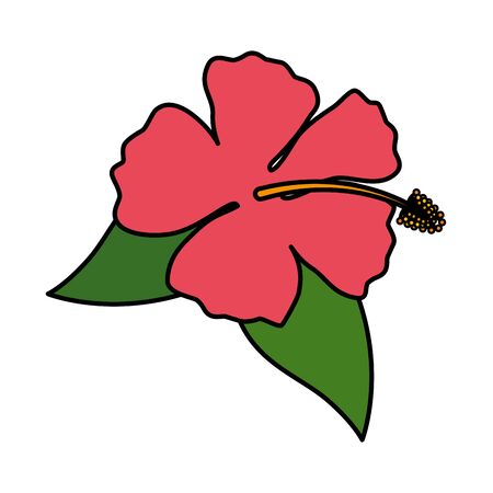 exotic tropical flower and leafs vector illustration designのイラスト素材