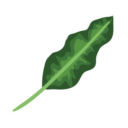 ecology leaf plant nature icon vector illustration designのイラスト素材