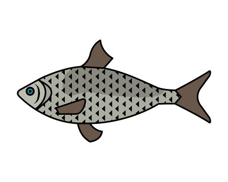 sea fish animal icon vector illustration designのイラスト素材