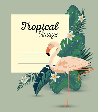tropical card with exotic flamish and leaves vector illustrationのイラスト素材