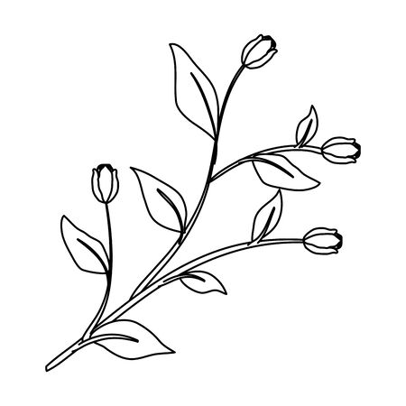 rose with leafs icon vector illustration designのイラスト素材