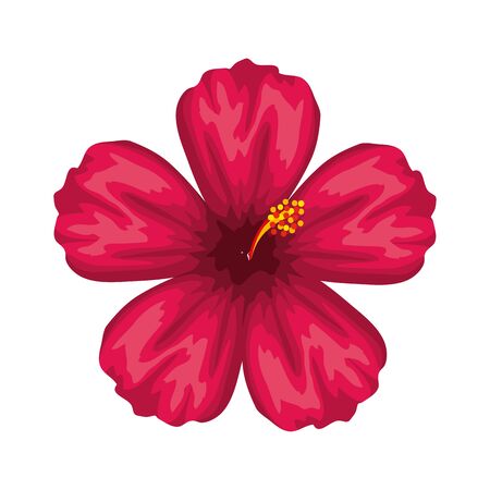 beautiful flower decorative icon vector illustration designのイラスト素材