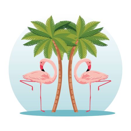 tropical flamingos with nature palms trees vector illustrationのイラスト素材