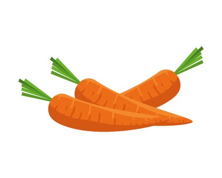 fresh carrots vegetables icon vector illustration designのイラスト素材
