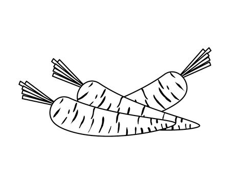 fresh carrots vegetables icon vector illustration designのイラスト素材