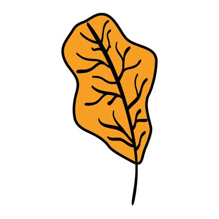 autumn dry leaf nature icon vector illustration designのイラスト素材