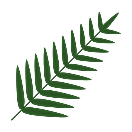exotic leaf palm tropical icon vector illustration designのイラスト素材