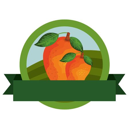 fresh mango fruit with ribbon stamp vector illustration designのイラスト素材