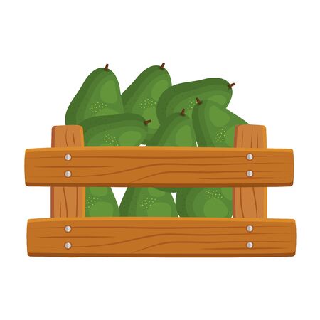 fresh avocados vegetables in wooden box vector illustration designのイラスト素材