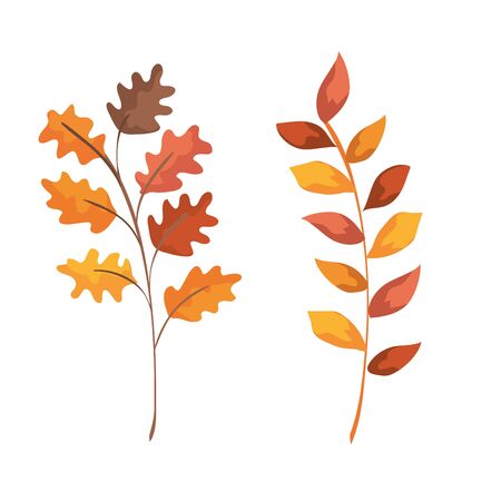 set of nature branches leaves plants over white background, vector illustrationのイラスト素材