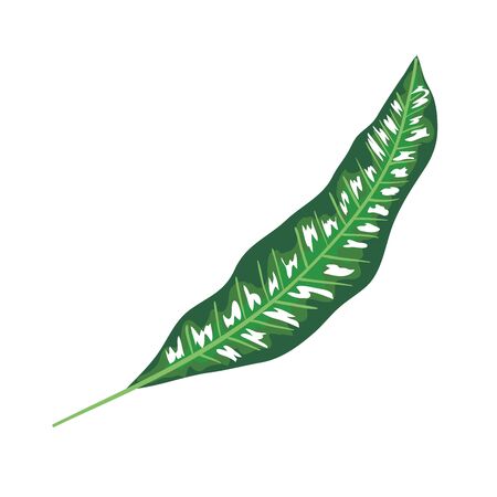 ecology leaf plant nature icon vector illustration designのイラスト素材