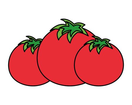 tomatoes vegetable fresh on white background vector illustrationのイラスト素材