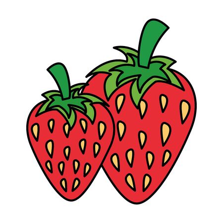 strawberries fresh fruit on white background vector illustrationのイラスト素材