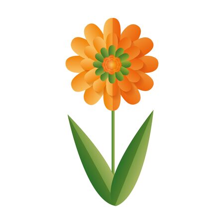 flower stem leaves on white background vector illustration designのイラスト素材