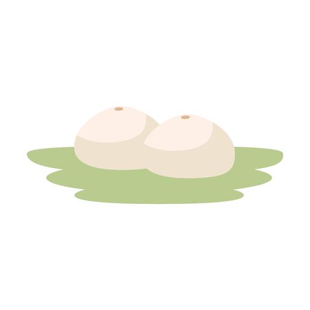 fresh cantaloupes in garden icon vector illustration designのイラスト素材