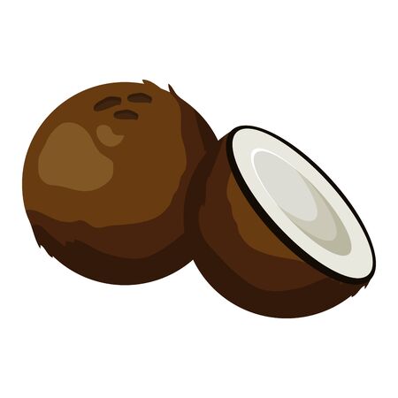 coconut tropical  vector illustration on white backgroundのイラスト素材