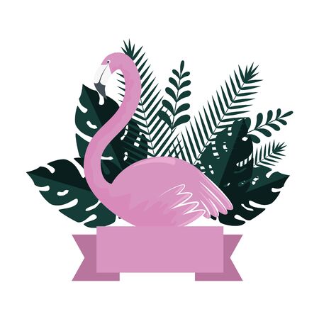 summer frame with flemish and exotic leafs plants vector illustration designのイラスト素材