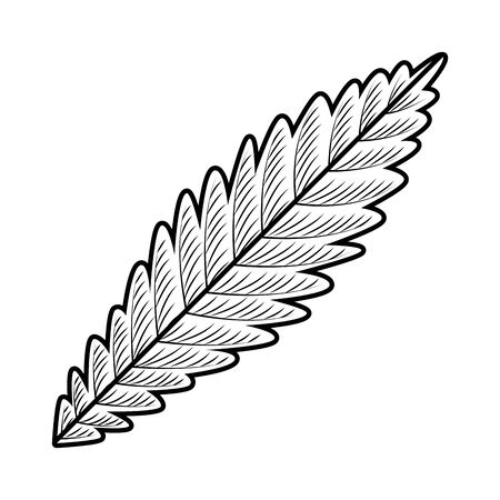 cannabis plant leaf nature icon vector illustration designのイラスト素材