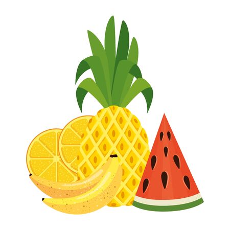 summer fresh fruits nature icons vector illustration designのイラスト素材