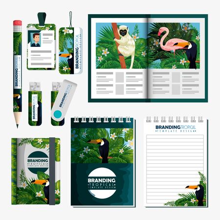 set of tropical brochure with notebooks and usb memory vector illustrationのイラスト素材