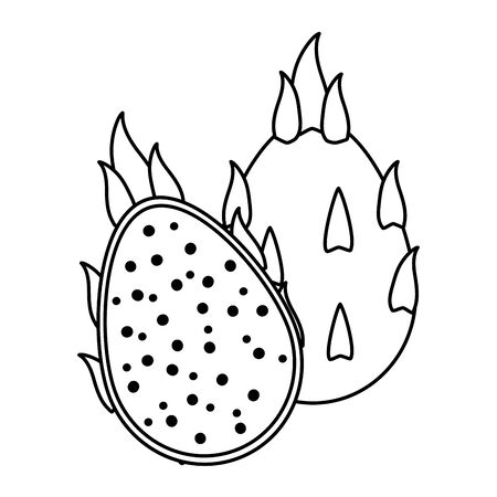 dragon fruit tropical fruits on wooden table vector illustrationのイラスト素材