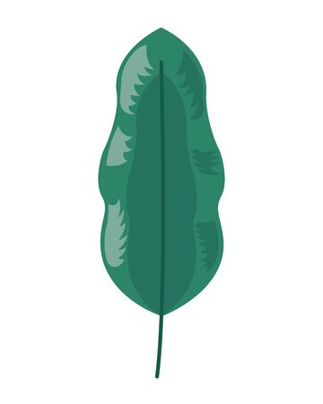 leaf foliage natural botanical on white background vector illustrationのイラスト素材