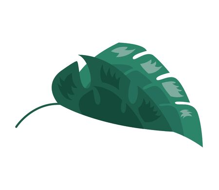 leaf foliage natural botanical on white background vector illustrationのイラスト素材