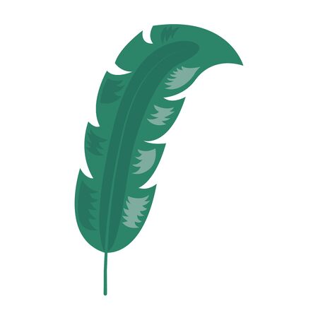 leaf foliage natural botanical on white background vector illustrationのイラスト素材