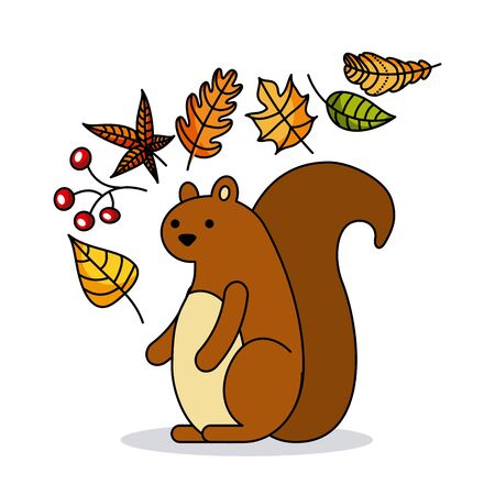 autumn squirrel acorn animal season vector illustrationのイラスト素材