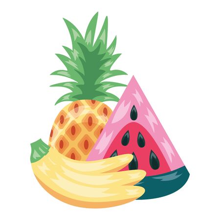 watermelon pineapple banana tropical fruits  vector illustrationのイラスト素材