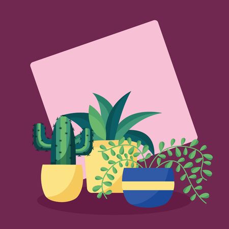 decorative plants in pots leaves interior background vector illustrationのイラスト素材