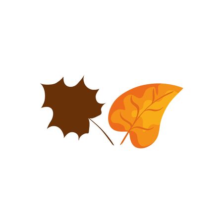 season autumn leafs isolated icon vector illustration designのイラスト素材