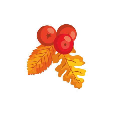 season autumn leafs with fruits isolated icon vector illustration designのイラスト素材