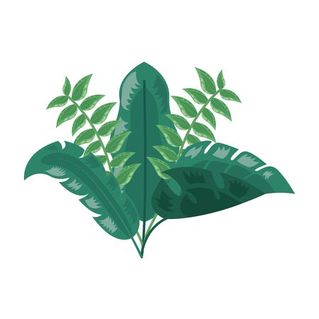tropical leaves foliage arrangement on white background vector illustrationのイラスト素材