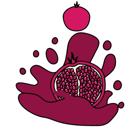 pomegranate juice splash tropical fruits vector illustrationのイラスト素材