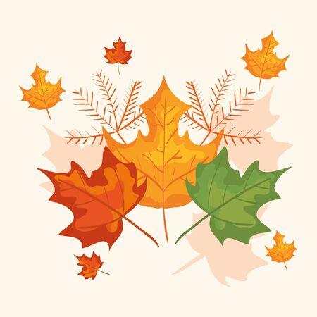 branches with leafs of autumn vector illustration designのイラスト素材