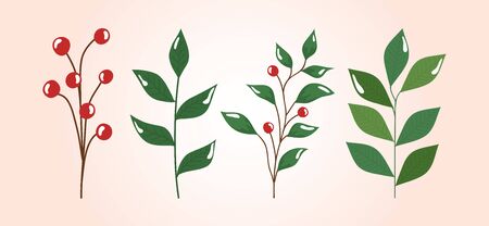 set of branches with leafs and seeds vector illustration designのイラスト素材