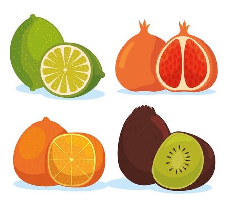 set lemon with orange and kiwi with pomegranate fruits vector illustrationのイラスト素材