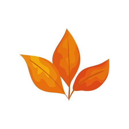 season autumn leafs isolated icon vector illustration designのイラスト素材