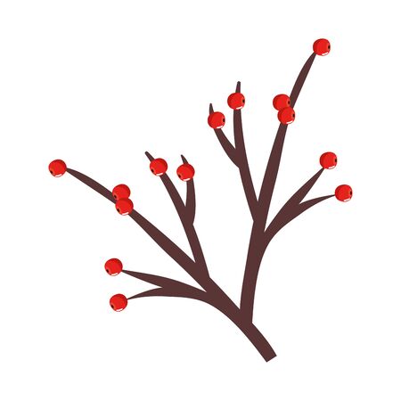 branch with holly fruits traditional christmas isolated icon vector illustration designのイラスト素材