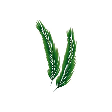 branch with leafs nature ecology isolated icon vector illustration designのイラスト素材