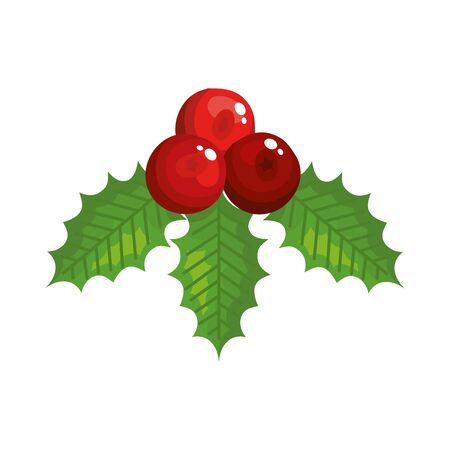 leafs with seeds decoration christmas isolated icon vector illustration designのイラスト素材