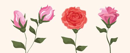 set of flowers with branches and leafs vector illustration designのイラスト素材