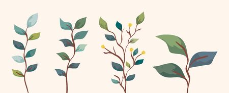 set of branches with leafs nature vector illustration designのイラスト素材