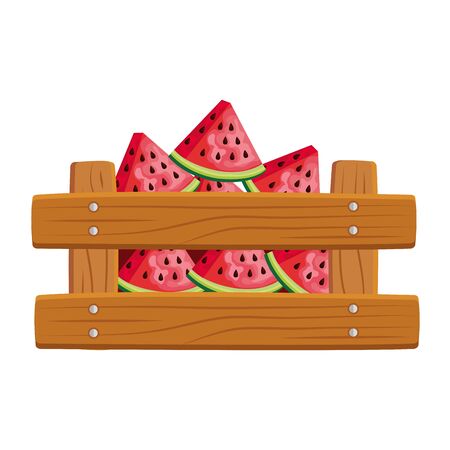 fresh watermelons fruits in wooden box vector illustration designのイラスト素材